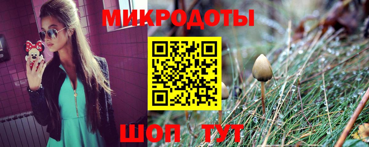 Псилоцибиновые грибы Cubensis Городец