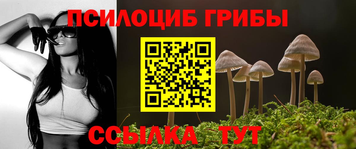 Галлюциногенные грибы мухоморы  Вход с VPN  Галлюциногенные грибы Psilocybe  Городец 